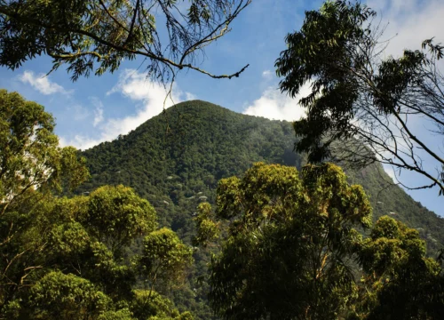 Cerro Bravo Trekking
